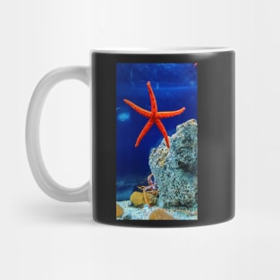Patrick the starfish in real life! Mug